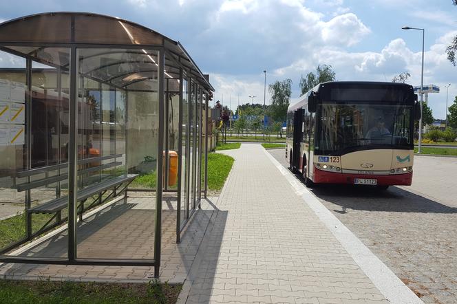 W tym roku w Lesznie nie będzie dodatkowych autobusów we Wszystkich Świętych 