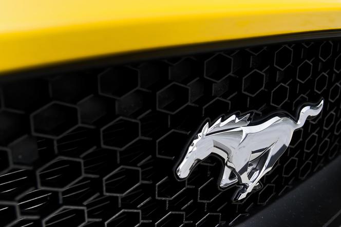 2015 Ford Mustang 5.0 V8