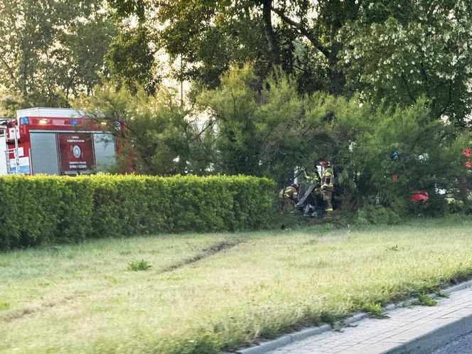 Potworny wypadek w Płocku. Wypadli z drogi, uderzyli w drzewo. Dwoje ludzi spłonęło w samochodzie	