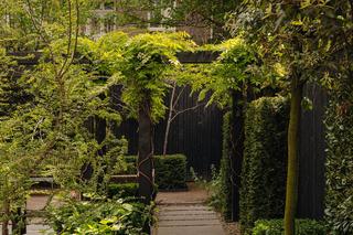 Mieszkanie w kamienicy Amsterdamie