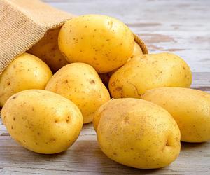 Quiz. Ziemniaki, pyry, kartofle. Każdy Polak powinien to wiedzieć