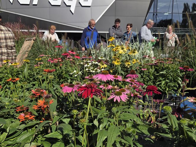 Jesienny Kiermasz Ogrodniczy w Bydgoszczy przyciągnął miłośników zieleni i smakołyków!