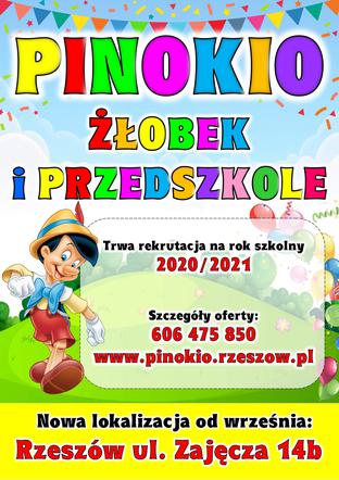 Niepubliczne Przedszkole i Żłobek PINOKIO