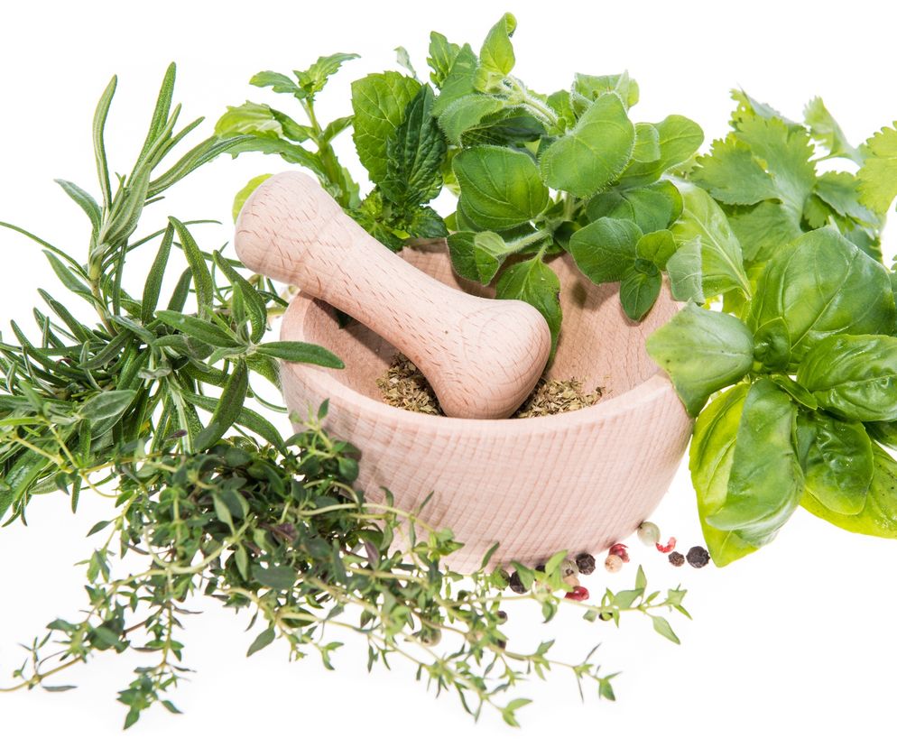 Zioła na boreliozę - ziołowa terapia (Protokół) Buhnera