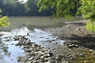 Wysychające Jeziorko Czerniakowskie