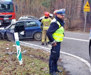 Trzy godziny, trzy wypadki! DK 42 w Krynkach zdezrenie Forda i Audi