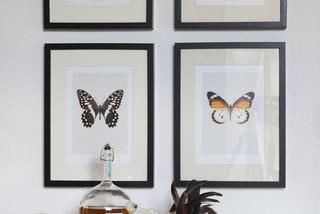 Motyle: motyw dekoracyjny na topie