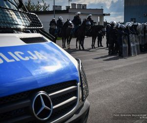 Policyjne konie zdały egzamin!