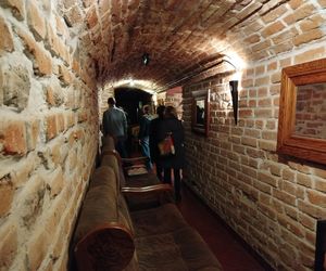 Podczas Nocy Muzeów Siedlczanie mogli poznać historię Pałacu Ogińskich i ciekawostki o mieście