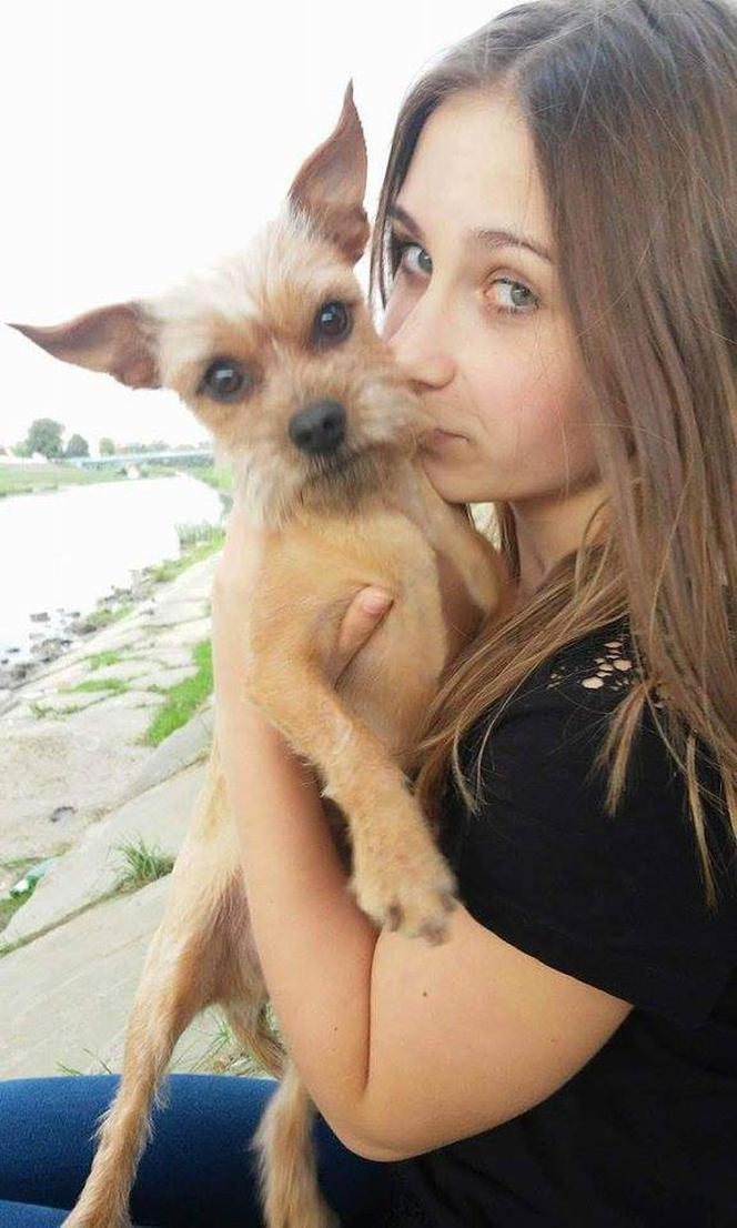 W Rzeszowie zaginął pies - właścicielka prosi o pomoc