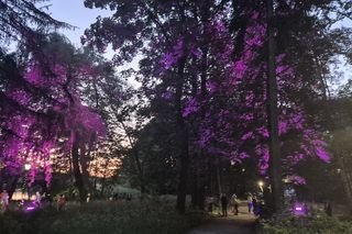 Olsztyn zamienił się w magiczną krainę. Park Świateł przyciągnął tłumy!