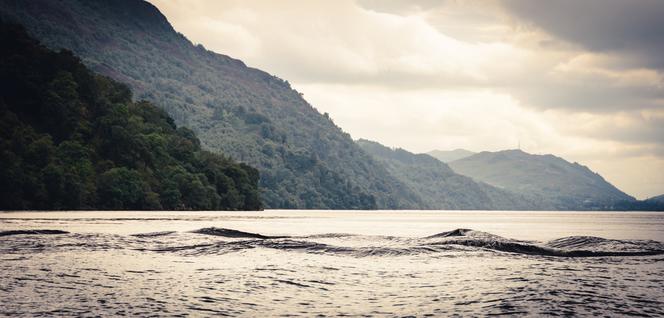 Potwór z Loch Ness jest żółwiem! Naukowcy ujawniają