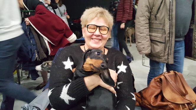 Międzynarodowa Wystawa Psów Rasowych w Bydgoszczy