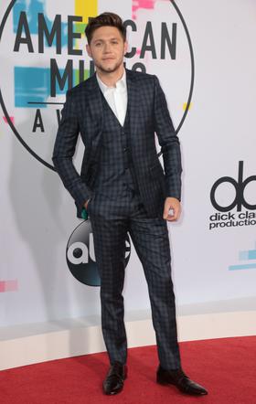 American Music Awards 2017:Niall Horan