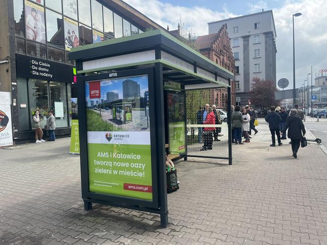 Katowice mają już pierwszy zielony przystanek. Stanął na ulicy Mickiewicza 