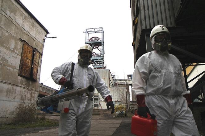 Zaraza atakuje górników! Oto aktualne dane z kopalń JSW i PGG. Koronawirus na Śląsku