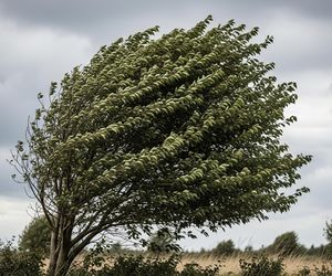 IMGW ostrzega. Czy Polska znów stanie w obliczu pogodowego chaosu?