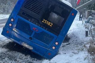 Pasażerowie przeżyli prawdziwe chwile grozy. Autobus zjechał do rowu i uderzył w słup!