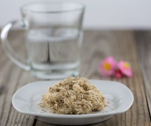 Wiąz czerwony: jego kora to naturalny specyfik na płuca