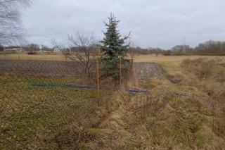 Hotel z Pabianic wylewał nieczystości do rowu