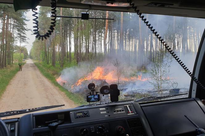 Podpalacz grasuje pod Pleszewem?! Ktoś chyba świetnie się bawi