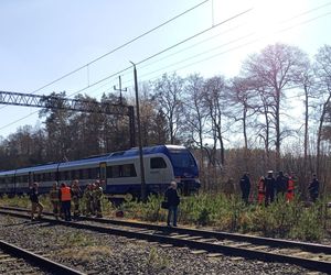 Tragedia na torach pod Olsztynem. Wstrzymano ruch pociągów