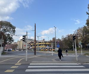 Lehel Market w Budapeszcie