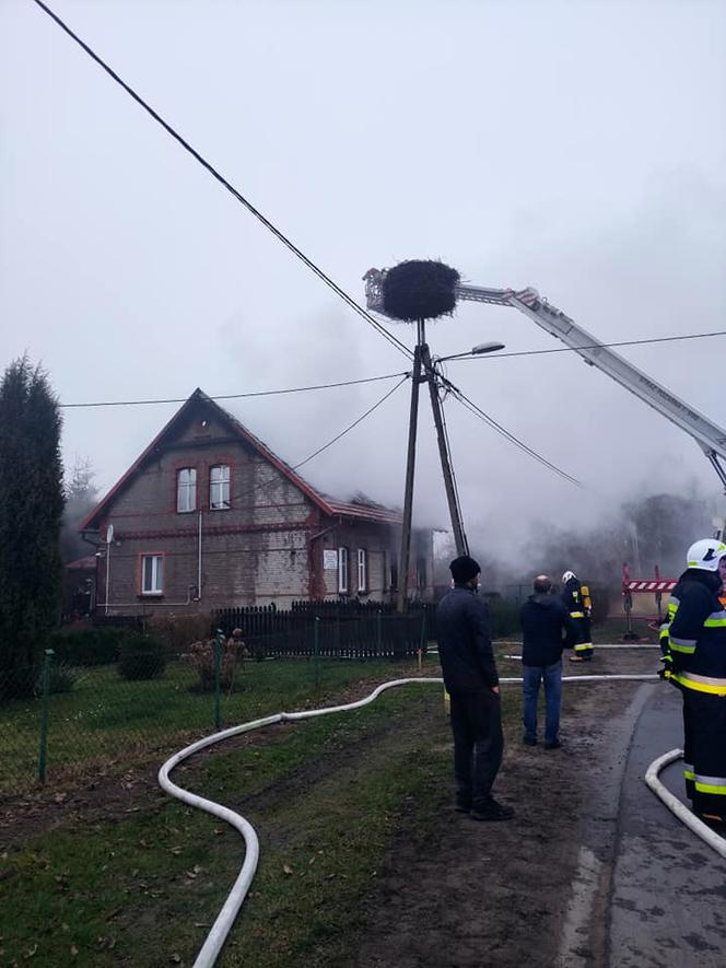 Pożar w Gostkowie koło Torunia. 12 zastępów straży w akcji