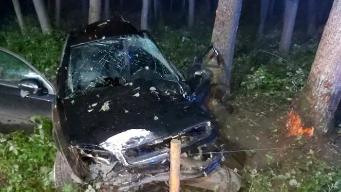 Wypadek na trasie Kowalewo - Mikuty. Samochód uderzył w drzewo. Kierowca w ciężkim stanie trafił do szpitala [ZDJĘCIA]