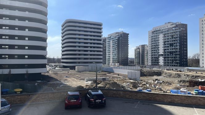Kukurydze 2.0 na osiedlu Tysiąclecia
