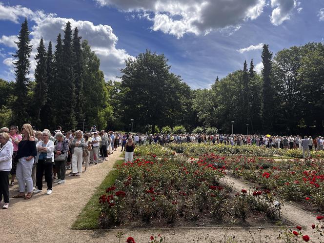 Kolejka tort urodziny Szczecina 