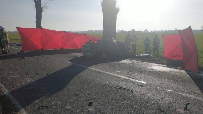 Tragiczny wypadek w miejscowości Głogowiniec [ZDJĘCIA] 