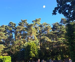 Tłum ludzi pożegnał Taśmę. Był jednym z najwierniejszych kibiców Unii Leszno