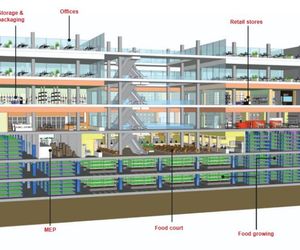 Ilustracyjny widok adaptacji nieużywanego domu towarowego, gdzie uprawa żywności staje się motorem rewitalizacji