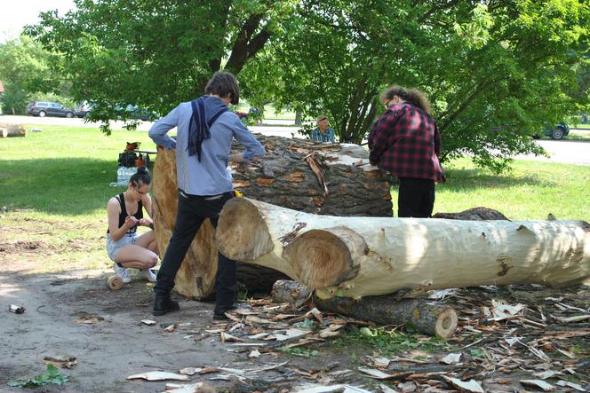 Ogólnopolski Plener Rzeźbiarski Myślęcinek 2016