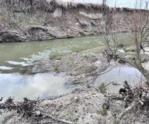 Makabryczne odkrycie w Jadownikach. Z rzeki wyłowiono zwłoki 70-latki