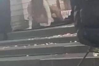 Skandaliczne sceny podczas rekolekcji w Toruniu