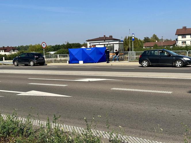 Zwłoki noworodka w reklamówce w koszu na śmieci. Wstrząsające odkrycie na przystanku pod Warszawą