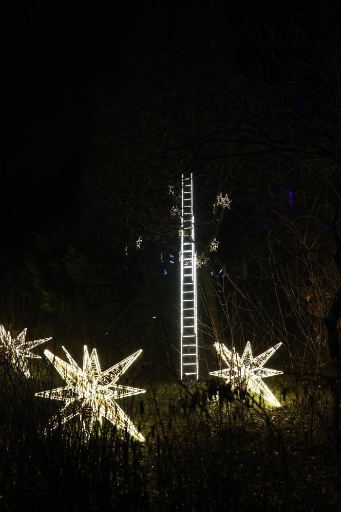 „Historia światła” po raz ostatni. Park iluminacji w Lublinie kończy sezon