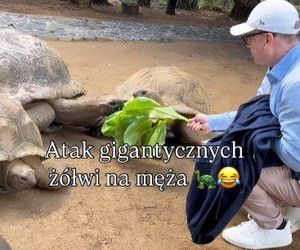 Maciej Orłoś, Paulina Orłoś