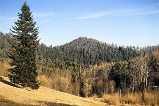 Czy to już koniec zimy w Bieszczadach? 