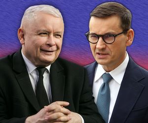 Nowy sondaż to cios w PiS. Mentzen triumfuje, Kaczyński i Morawiecki tracą poparcie