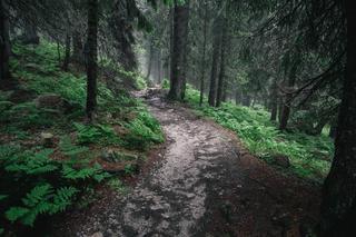Tajemnicze zaginięcie 20-latków