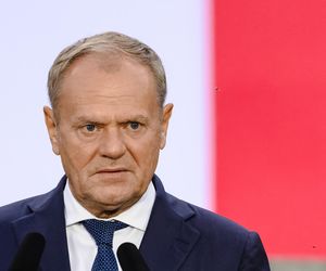 Donald Tusk doradza w sprawie edukacji zdrowotnej. Polecił posłom PiS obejrzenie kultowej kreskówki
