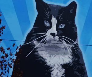 Mural z kotem Gackiem już odsłonięty