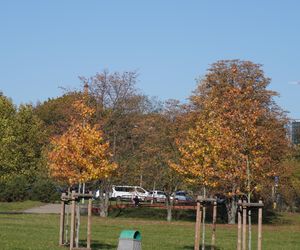 Park im. św. Jana Pawła II w jesiennych barwach