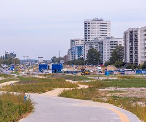 Budowa parku nad Południową Obwodnicą Warszawy