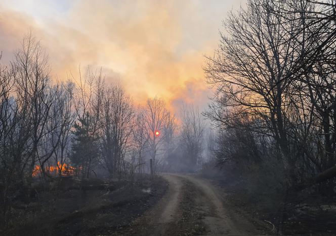 Ugasili pożar w Czarnobylu