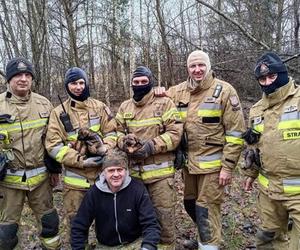 Lubelskie. Szczeniaki uwięzione w lisiej noże. Strażacy kopali w zmarzniętej ziemi przez 3 godziny