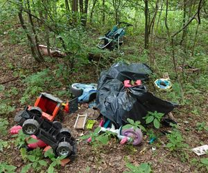 Zgroza w lesie pod Świeciem! Martwy pies w worku foliowym ze związanymi łapami. Policja szuka sprawcy bestialskiego czynu